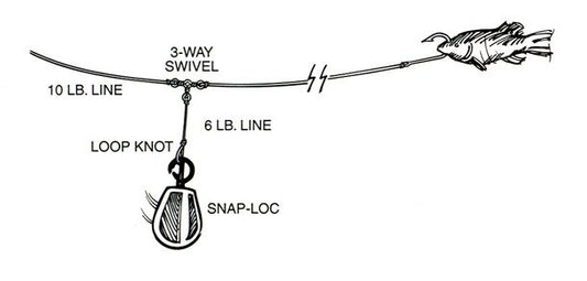 HotShotz Drop Shot Rig